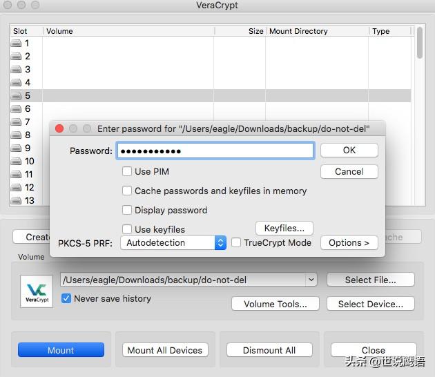 如何在MacOS上安装VeraCrypt以跨平台保护数据How-to-Install-VeraCrypt-on-MacOS-to-Protect-Data-Across-Platforms