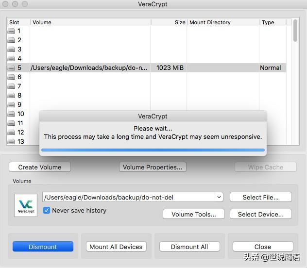 如何在MacOS上安装VeraCrypt以跨平台保护数据How-to-Install-VeraCrypt-on-MacOS-to-Protect-Data-Across-Platforms