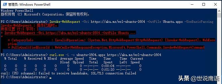 漫谈在Windows Server 2019中安装使用WSL-98蓝屏事件-Rambling about installing and using WSL on Windows Server 2019