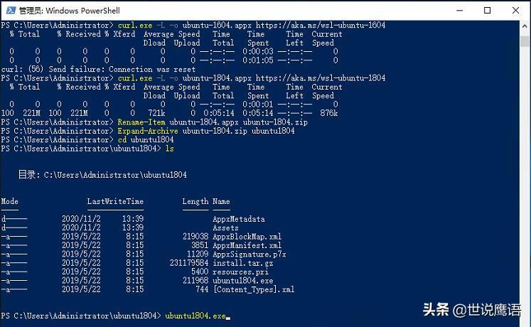 漫谈在Windows Server 2019中安装使用WSL-98蓝屏事件-Rambling about installing and using WSL on Windows Server 2019