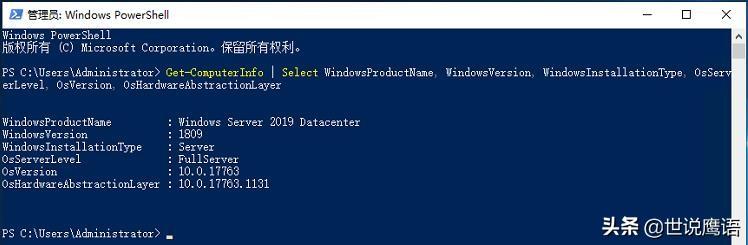 漫谈在Windows Server 2019中安装使用WSL-98蓝屏事件-Rambling about installing and using WSL on Windows Server 2019