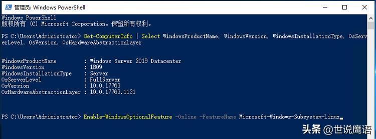 漫谈在Windows Server 2019中安装使用WSL-98蓝屏事件-Rambling about installing and using WSL on Windows Server 2019