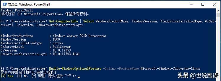 漫谈在Windows Server 2019中安装使用WSL-98蓝屏事件-Rambling about installing and using WSL on Windows Server 2019